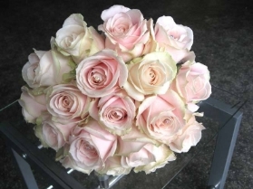 Pink Avalanche Rose and Hydrangea Collection