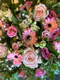 Pink Posy