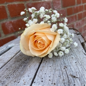 Peach Avalanche Rose Buttonhole