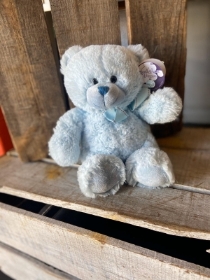 Blue Teddy Bear