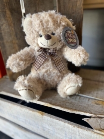 Brown Teddy Bear with Gingham Bow