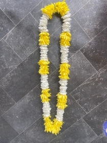 Yellow & White Garland