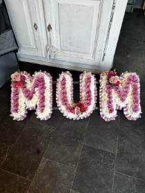 Classic Letter with with Pink Chrysanthemum line