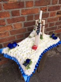 Cricket Bat & Stumps