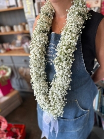 Gypsophila Garland