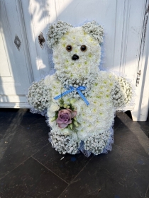 Gypsophila Teddy