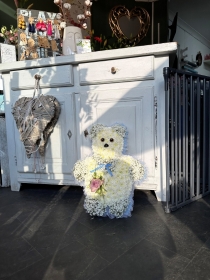 Gypsophila Teddy