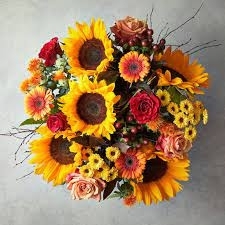 Harvest Delight