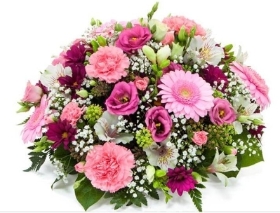 Pink Posy