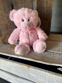 Pink Teddy Bear