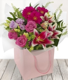 Pleasant Pinks