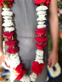 Red and White Garland