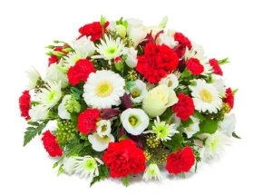 Red and White Posy