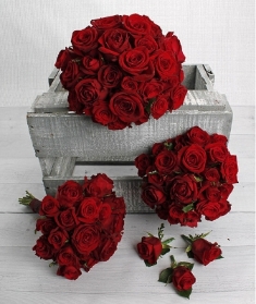 Red Rose Collection