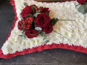 Red Rose Solid Based Pillow
