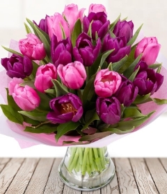 Tulips for Mum