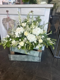 White Meadow Arrangment