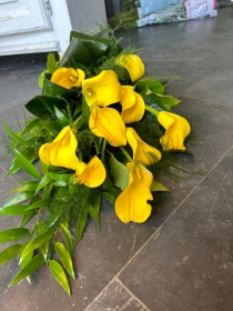 Yellow Calla Lily Tied Sheaf